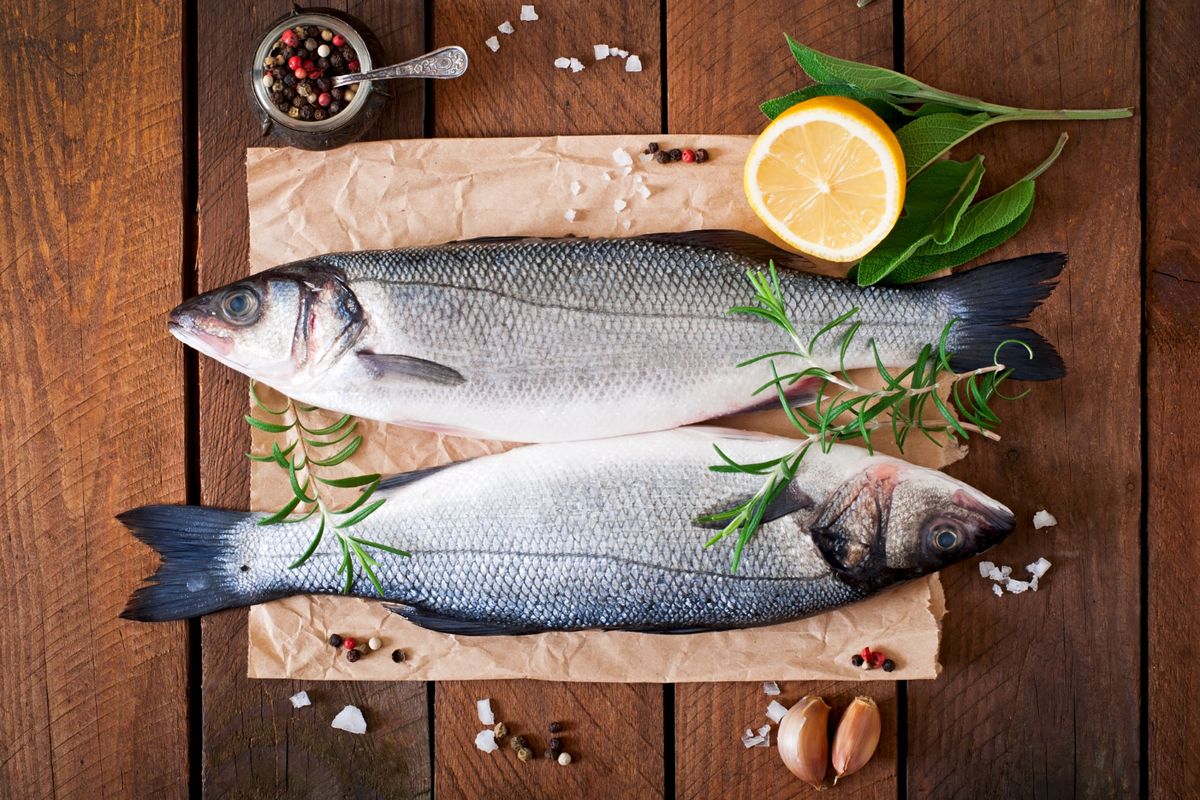 7 Rekomendasi Ikan Kaya Protein, Guna Optimalisasi Kebutuhan Nutrisi Harian